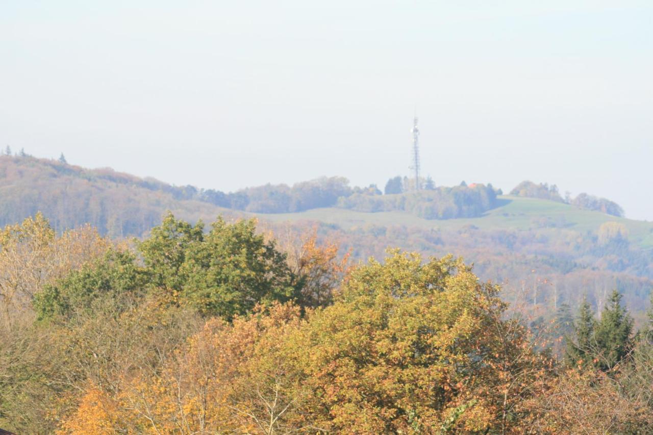 Fewo Im Naturpark Spiegelberg Exteriér fotografie
